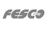 FESCO (FESCO Shipping Company) - международный партнер по морской перевозке грузов